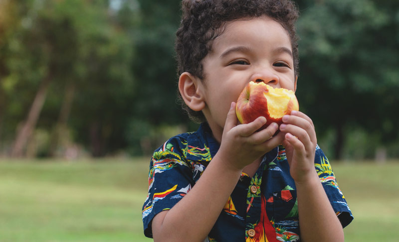 TOOTH FRIENDLY SNACKS FOR TODDLERS