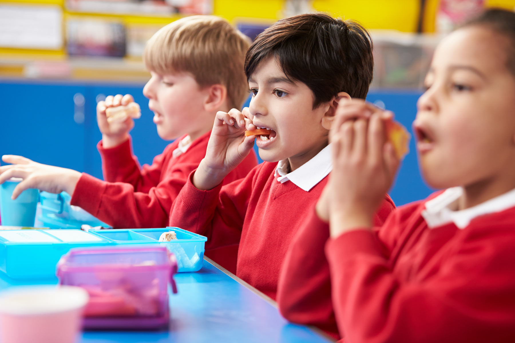 MAKE YOUR CHILD’S SCHOOL LUNCH BOX TOOTH FRIENDLY