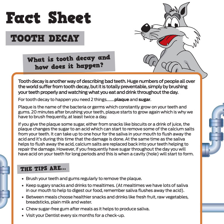 Tooth decay fact sheet